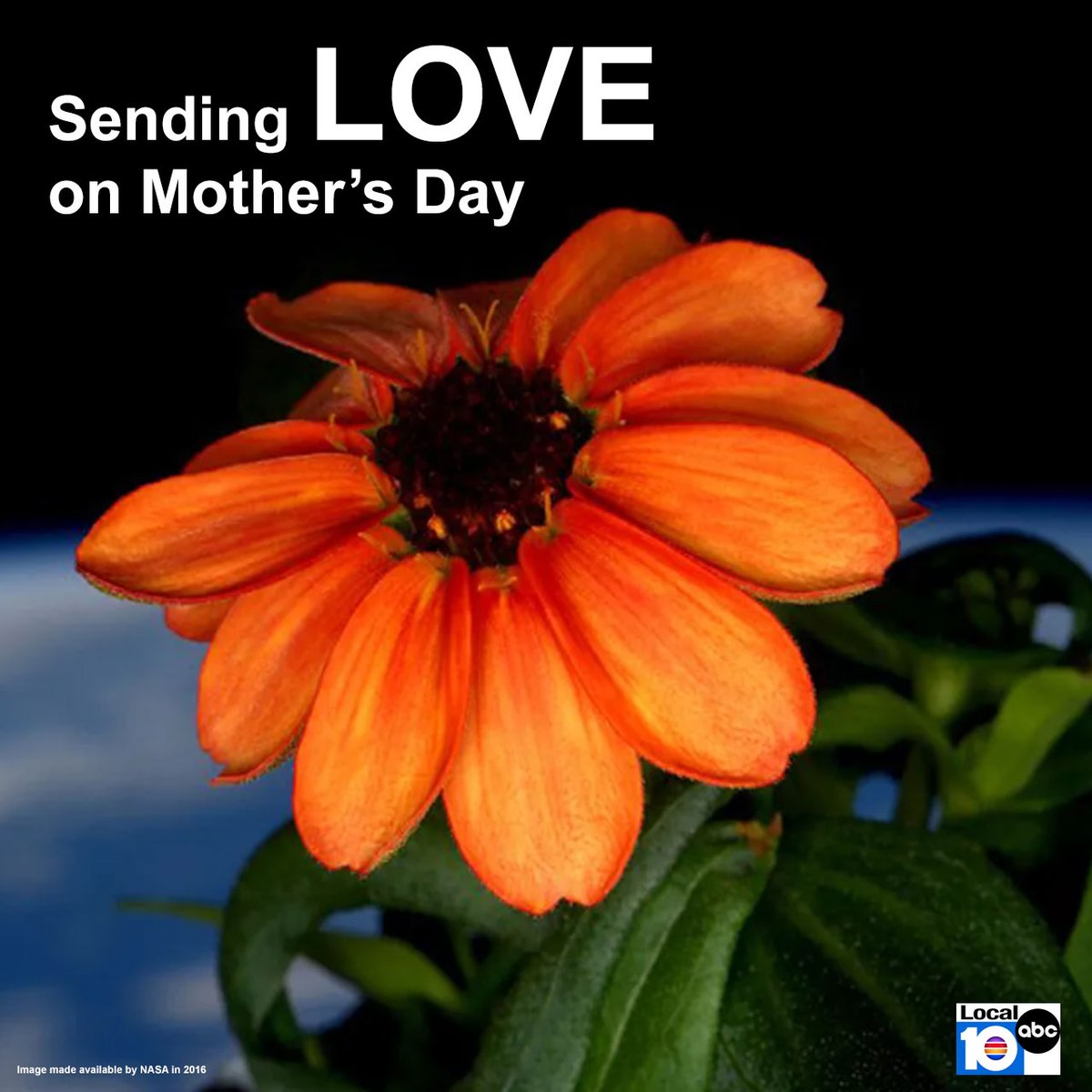Sending love on Mother's Day to those who have lost their loved ones, to those whose mothers struggle with dementia, to the women who wanted to be mothers but couldn't, to foster moms, stepmoms, and mentors, and to every mother who knows unconditional love.