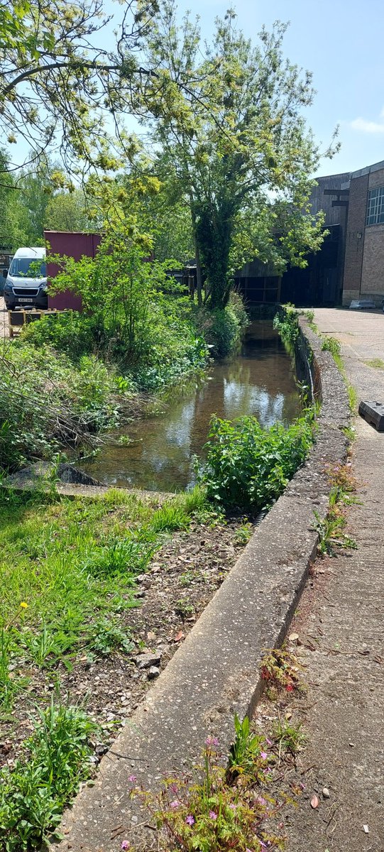 NCCbyKimberley's tweet photo. We found the pulper!! 🤩🥰😅 And the egg race spot. Even had a lovely chat with the guy who had to recue people from the barge 😅🥰. #Taskmaster #NerdyGirl #TaskmasterTour https://t.co/5NY2NIJSPS