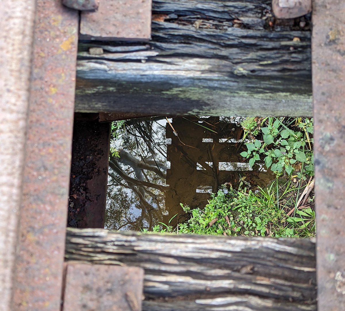 TheWitchersOne's tweet image. One for #ShadowsReflects @DavidMariposa1 or possibly #framefotos ?