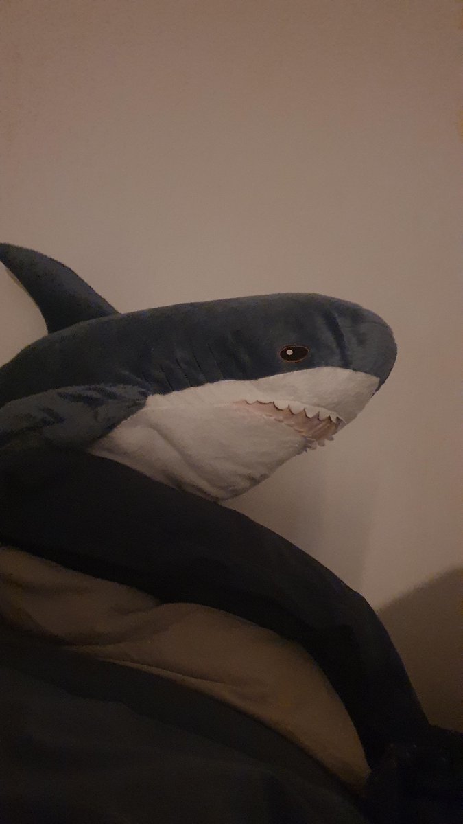 Blåhaj has entered the party
.........now i need an even bigger one