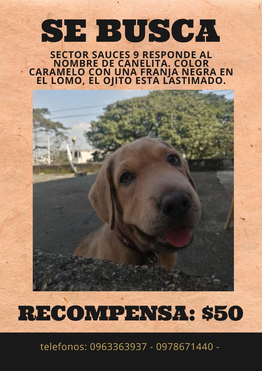 Daniel Izquierdo tweet media