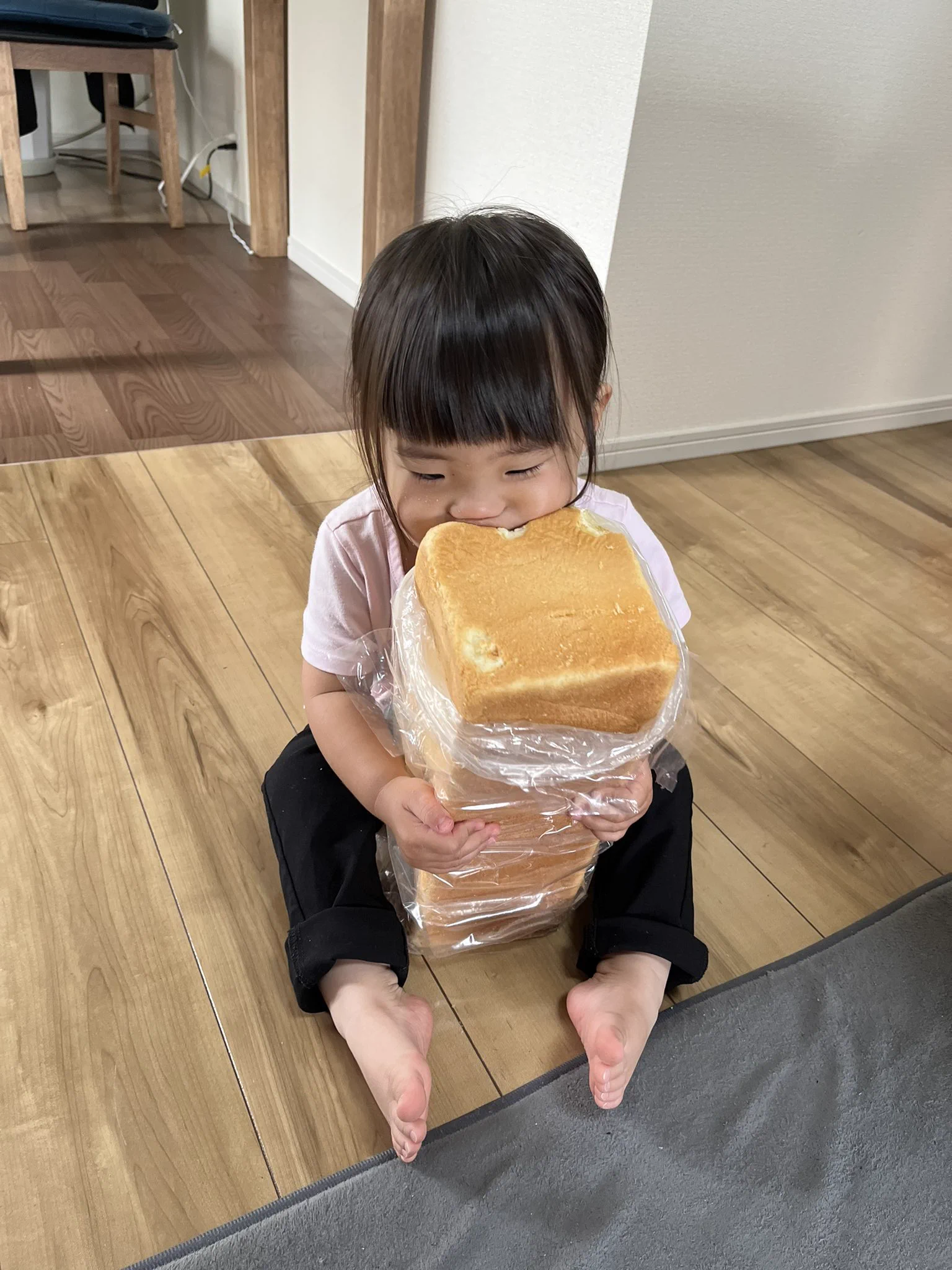 今日のお子の食事風景！でかすぎる食パンを豪快に丸かじりする！