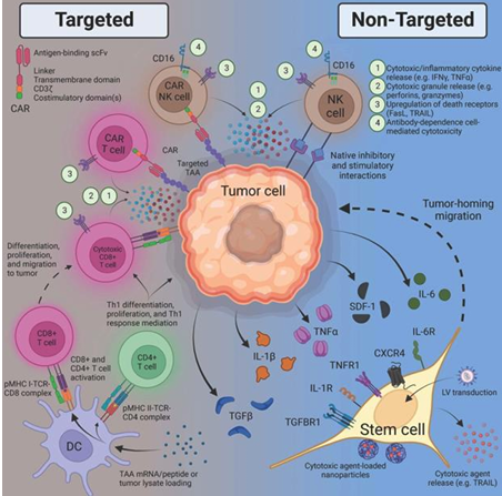 Cell-based therapies for glioblastoma: Promising tools against tumor heterogeneity academic.oup.com/neuro-oncology…