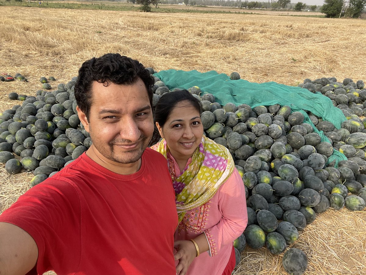 TheMangoCouple's tweet photo. The Watermelon 🍉 Couple !
Fresh and from farm of #Jugni https://t.co/9rimhemKQH