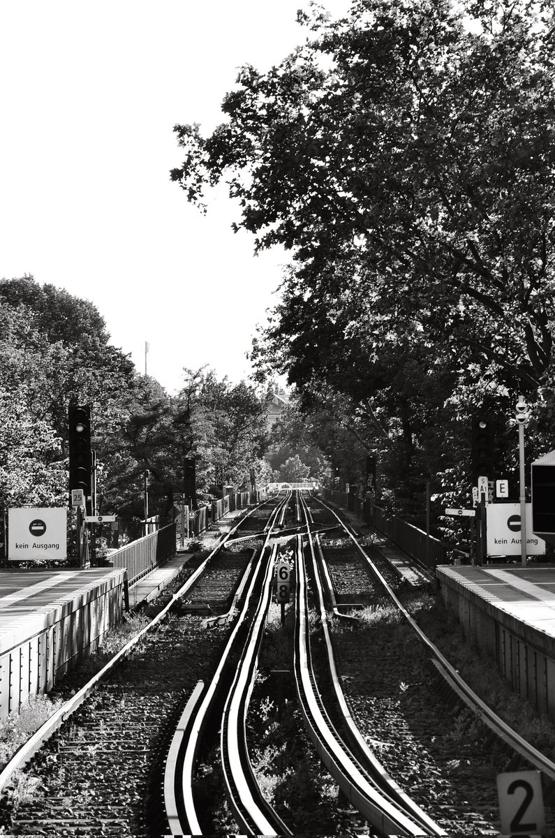 Romain Poloni tweet media