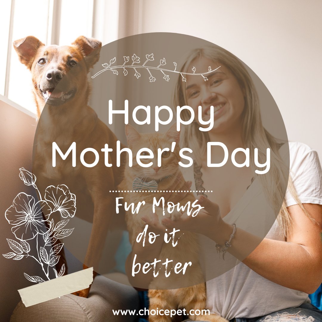 Happy Mother's Day! 🐾💚🌷
#mothersday #furmoms #catmom #dogmom #petmom #furmomsdoitbetter
