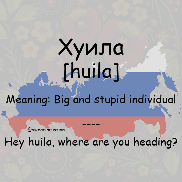 swearinrussian's tweet photo. Big and stupid individual #Хуила #swearinrussian #russian #rt https://t.co/g1CRE8NLM9