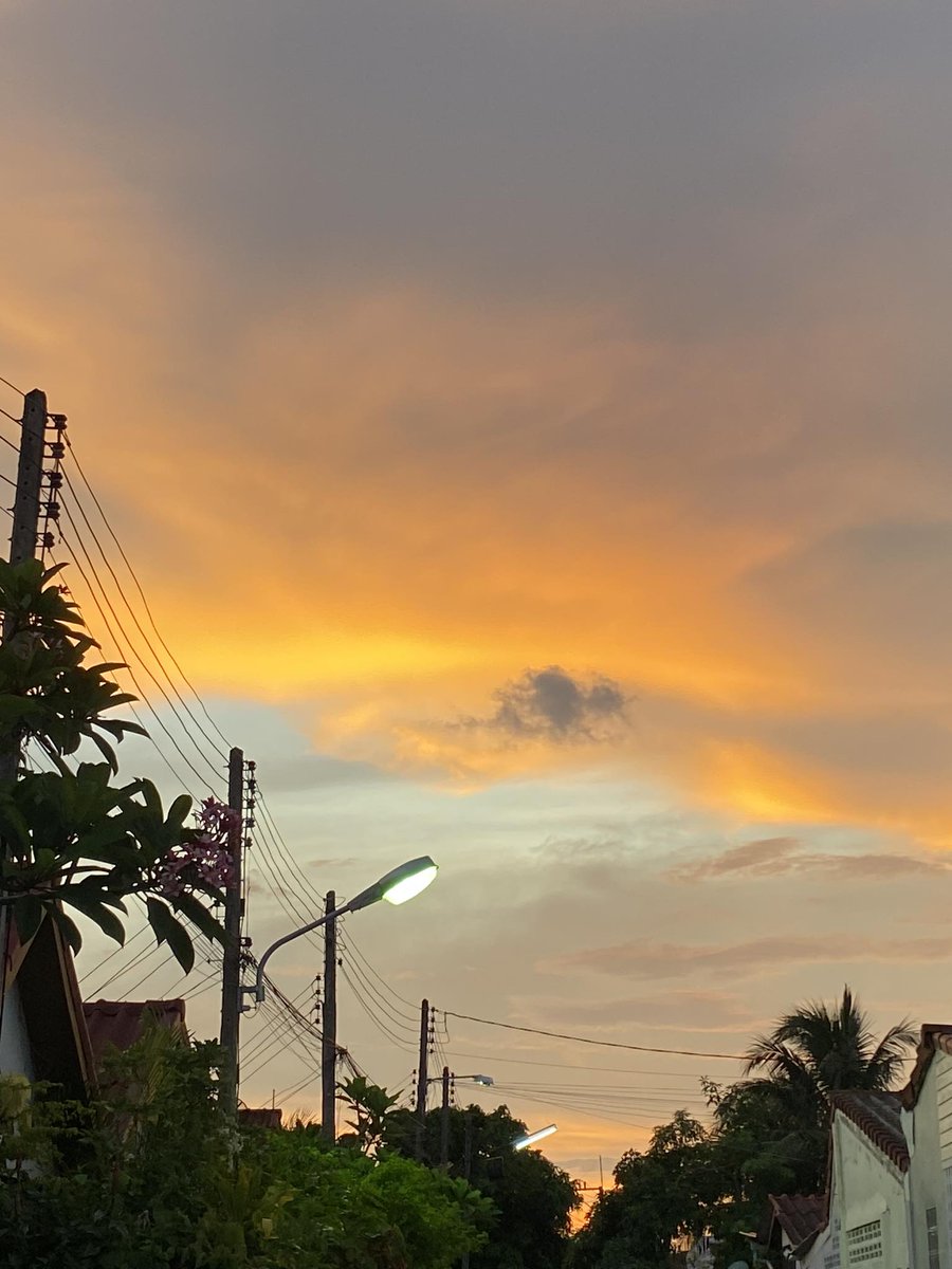 PanjarasG's tweet photo. ยะลาค่าาา 🧡🧡🧡
#เลือกตั้ง66 https://t.co/FAo54kkZCH