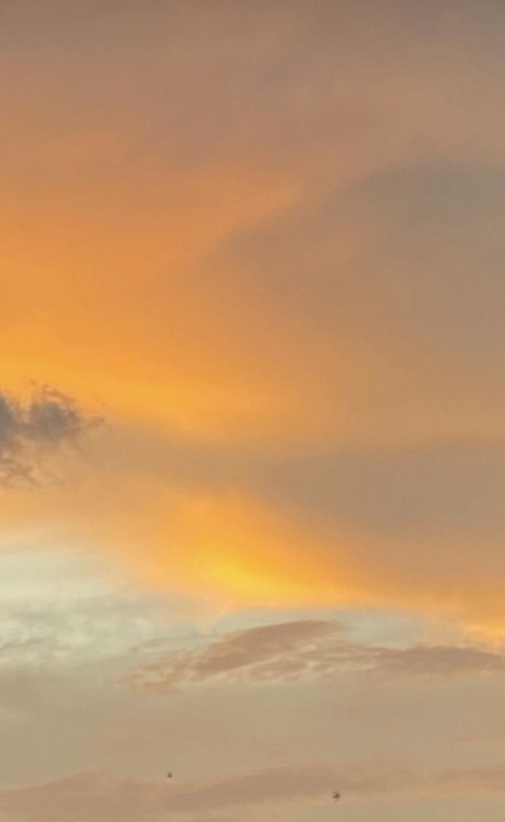 PanjarasG's tweet photo. ยะลาค่าาา 🧡🧡🧡
#เลือกตั้ง66 https://t.co/FAo54kkZCH
