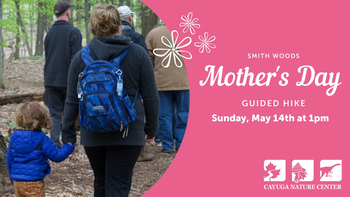 Join us today at 1 pm for a beautiful stroll through Smith Woods! Lifetime Trustee Marvin Pritts will lead the hike, discussing the forest's natural history. Meet at the Cemetery Road Entrance. Please park in the designated area on Cemetery Rd.