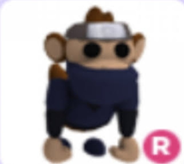 Rafaelagnan2 🐻 tweet media