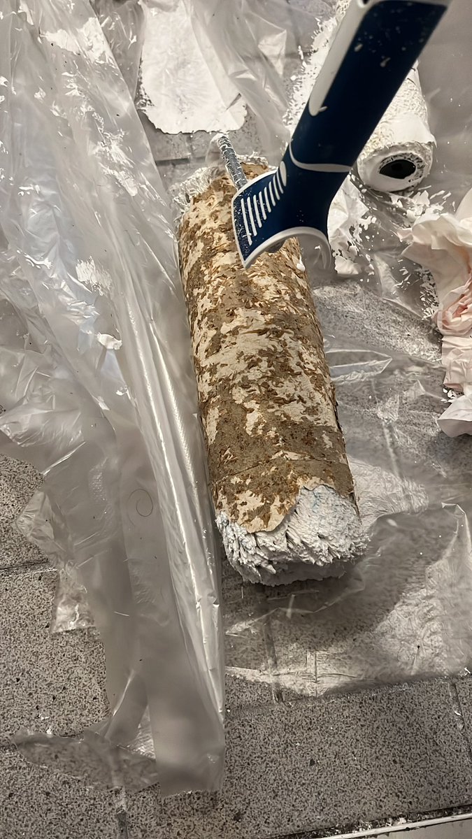 Shakreo's tweet photo. Hier übrigens jetzt mal die Tapete, die jetzt an dem Farbroller klebt. Natürlich habe ich keinen Ersatz-Farbroller 🙃 https://t.co/WdDyqqFqHl