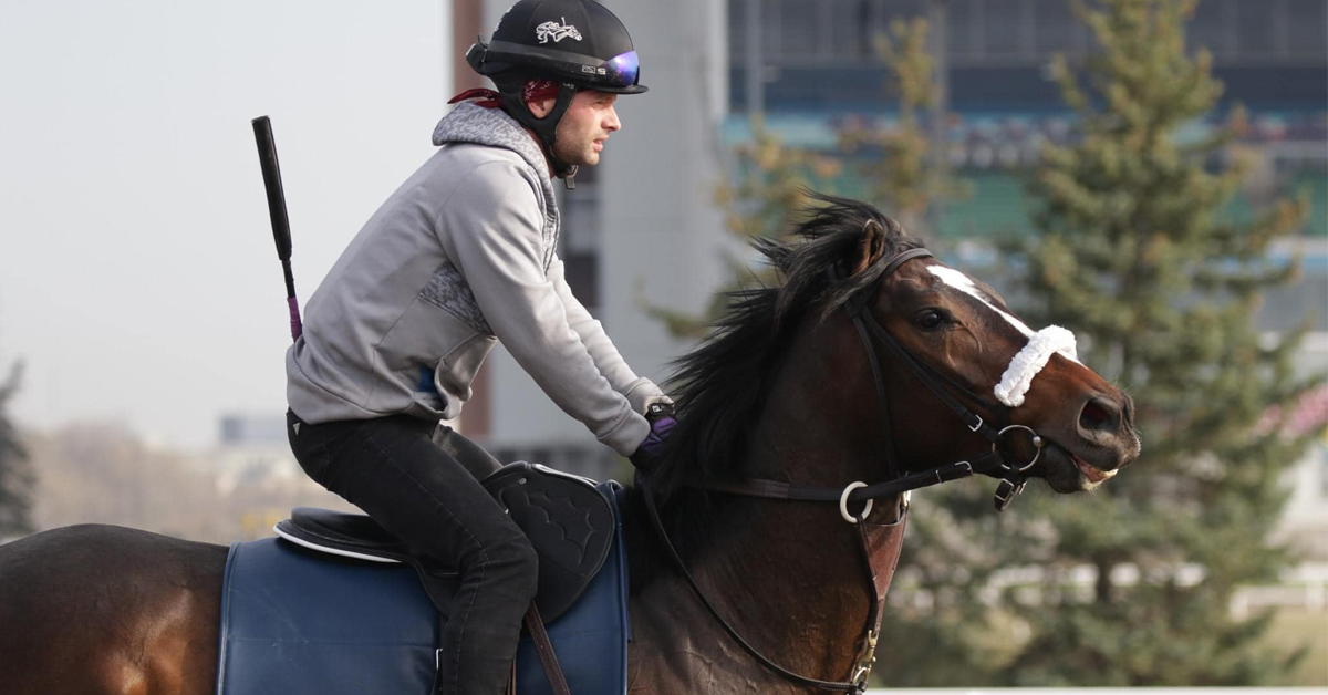 CanadianTbred's tweet photo. A Day in the Life of an Exercise Rider
A look at the early mornings and busy days of these important backstretch workers who keep their Thoroughbreds charges racing fit. #backstretch #horseracing #racehorses #exerciseriders
https://t.co/ZSDfqTvEnP https://t.co/FPLPBRyG2p
