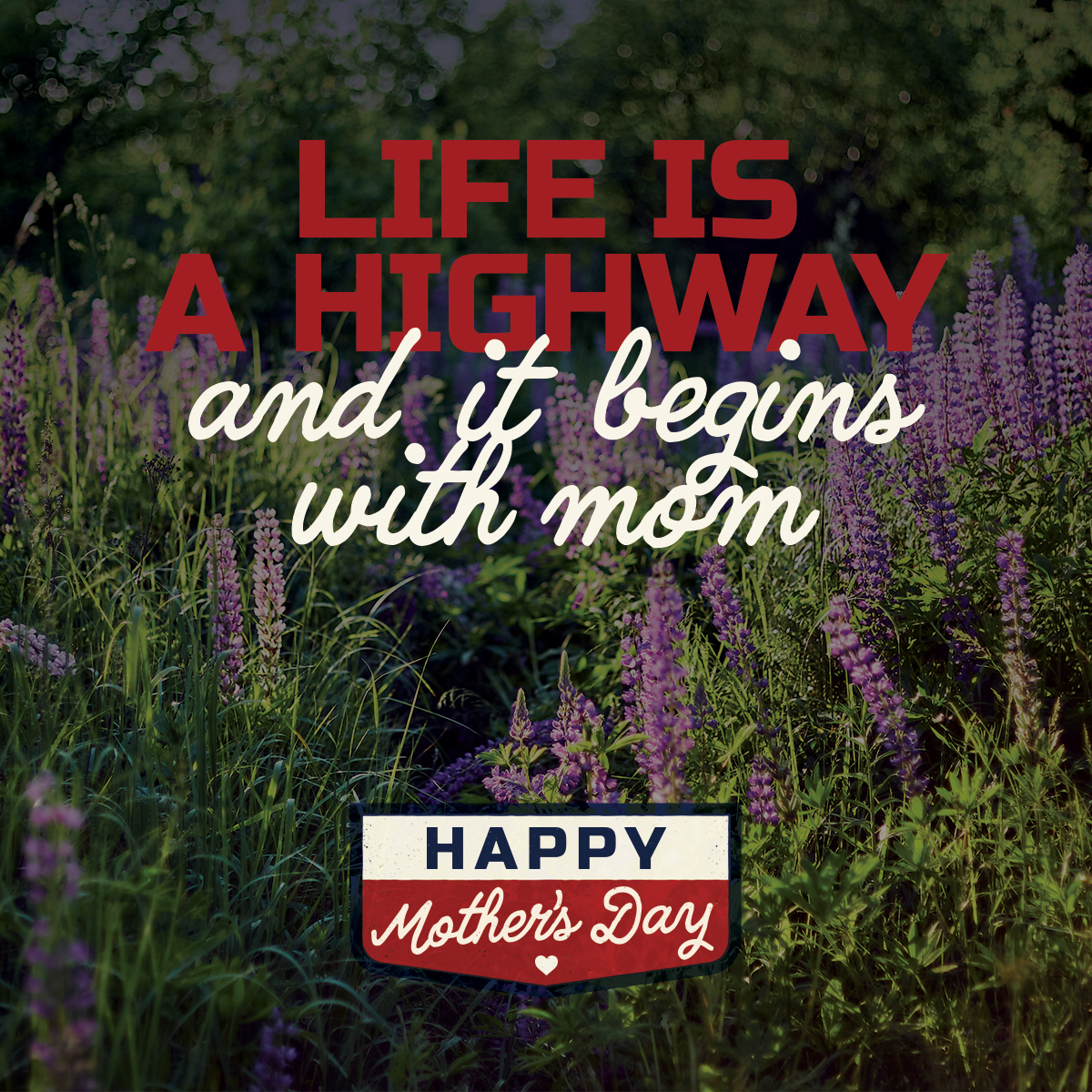 TxBit_'s tweet photo. Happy Mother’s Day to the women who give us everything. Thank you for all you do. https://t.co/LIUczZYeGz