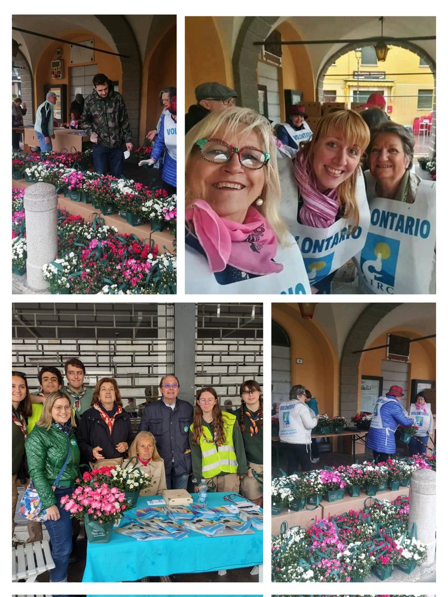 lab_tres's tweet photo. Oggi siamo con @AIRC_it e le sue Azalee per la ricerca nelle piazze italiane! 
@Ausl_RE #donare #ricerca #canceresearch #festadellamamma #azaleadellaricerca #AIRC https://t.co/DmTn5SqUVm