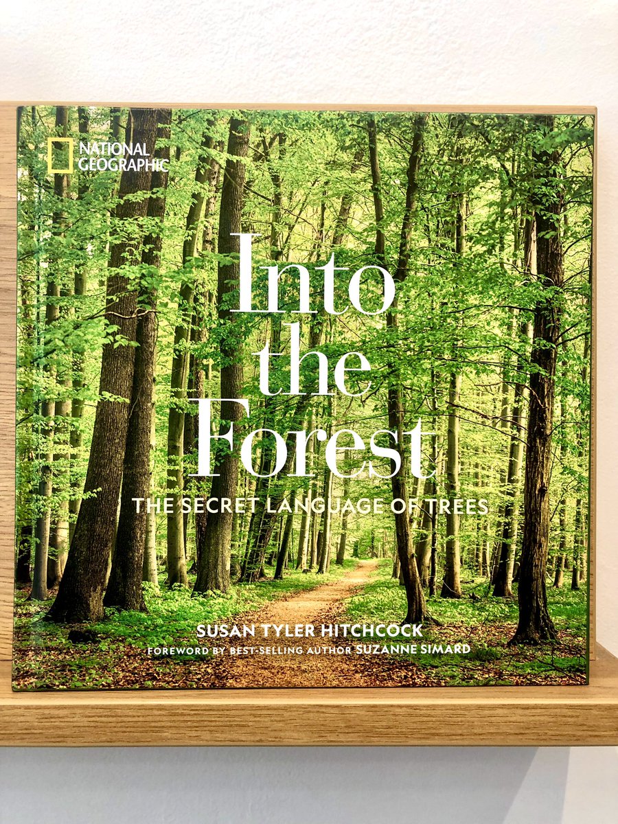 GeorgeCarivalis's tweet photo. Walked into a bookshop today. On my list. ‘Into the Forest. The secret language of trees’ by @Hitchbooks. A visually stunning book also beautifully written essays covering forests “intrinsic healing properties”. #arborday @NatGeo https://t.co/PFHsWrHeU5