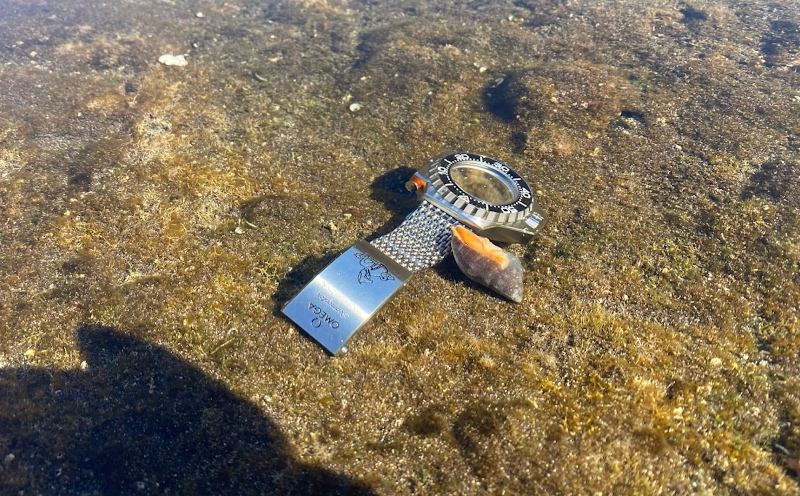 PuristSPro's tweet photo. Marine creature,
https://t.co/VgIprkcKyG
#Omega
#Ploprof #Seamaster https://t.co/KXBt79LDxk