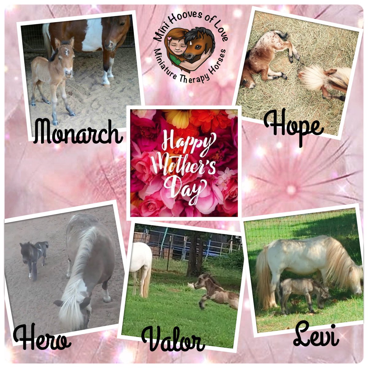 MINI HOOVES OF LOVE tweet media