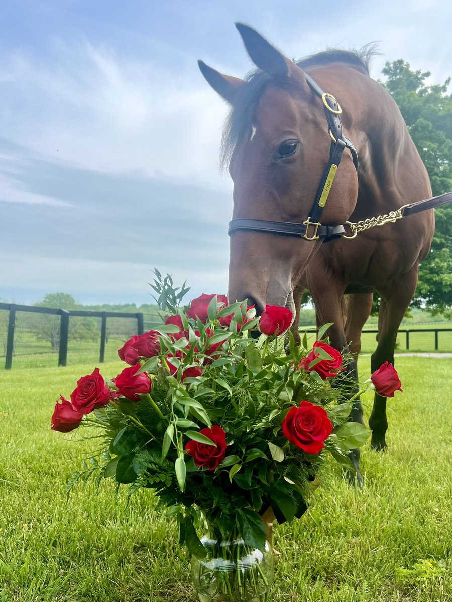 Kentucky Derby tweet media
