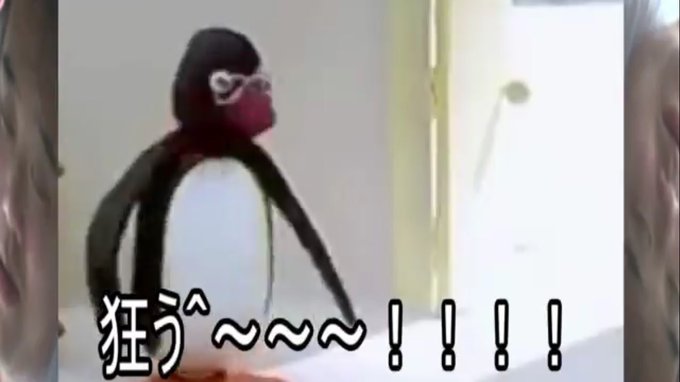 #画像フォルダから左を向いてる画像と右を向いてる画像を戦わせろ