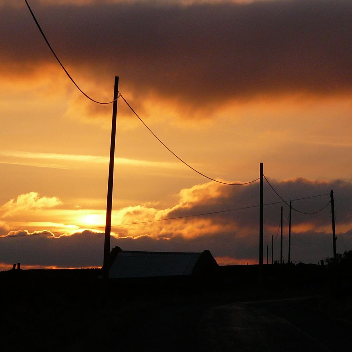 Do you paint from photos?

New #blog post on my website out today with seven great tips for helping you learn and improve your #painting.

talbot-greaves.com/post/do-you-pa…

Whilst you're there please checkout my other posts and pages. There's loads to see 😊