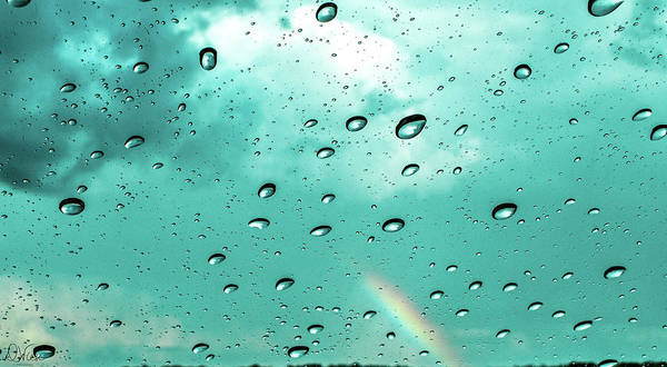denisew428's tweet photo. #raindrops and #rainbows #stormphotography #spring #rain #AYearForArt #artprint #photographyisart #springshower
get it here!
https://t.co/S1wHP7503d https://t.co/BrJEu5jpS0