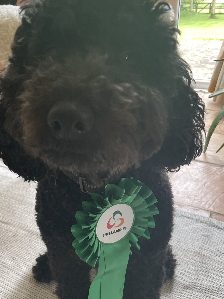 auntiedoodles's tweet photo. Ready for a wee Sunday canvass #Polland1 #SDLP23 @SDLPlive https://t.co/5P5TTKx4Nh