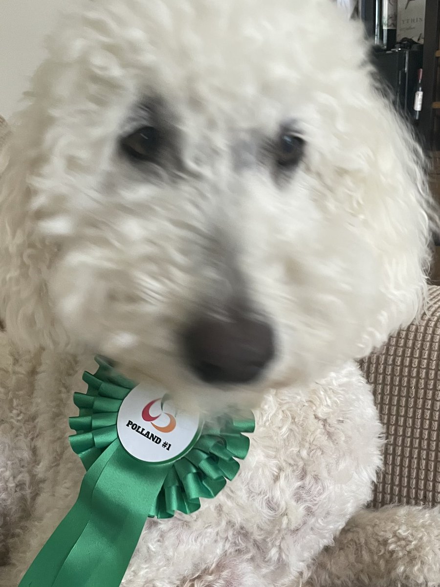 auntiedoodles's tweet photo. Ready for a wee Sunday canvass #Polland1 #SDLP23 @SDLPlive https://t.co/5P5TTKx4Nh