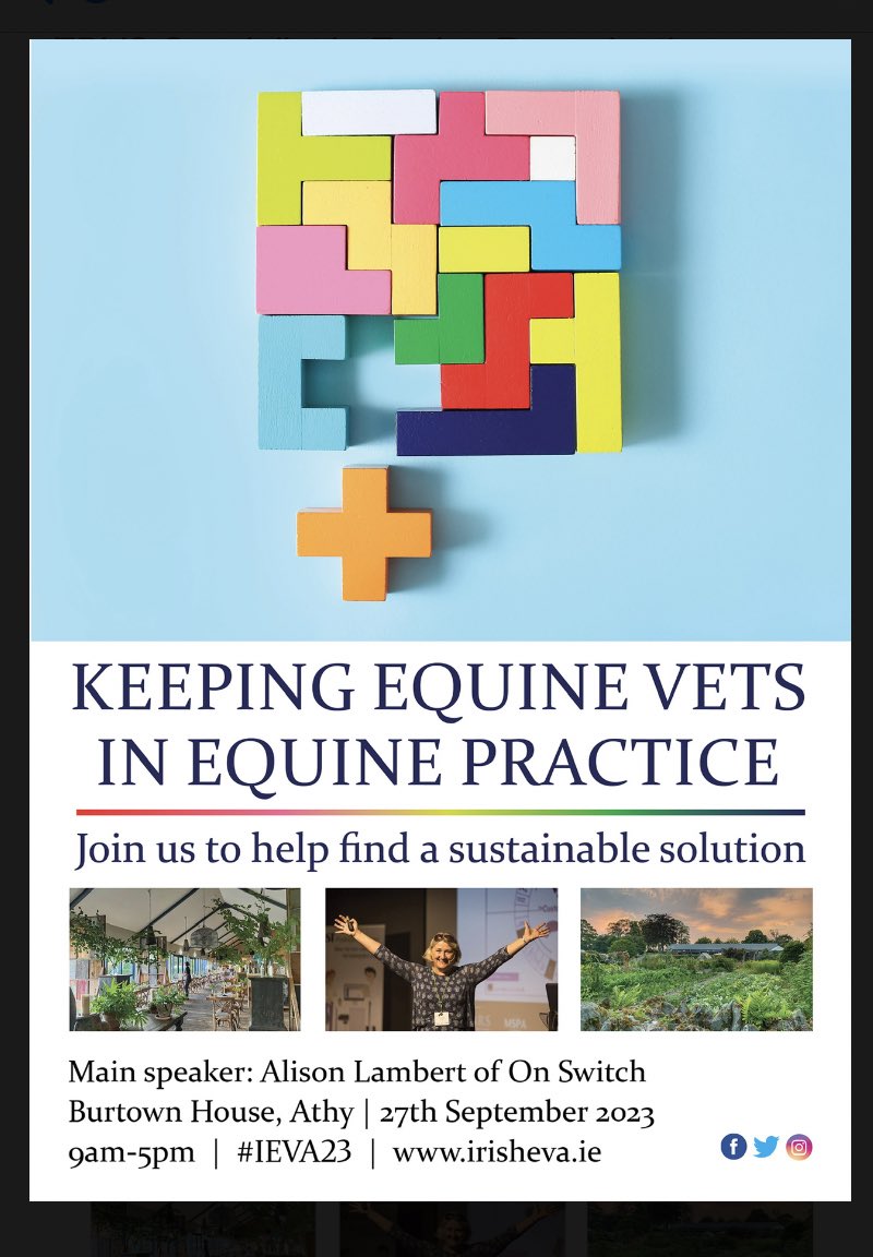 Irishequinevet's tweet photo. https://t.co/trYYkN2MJ8
