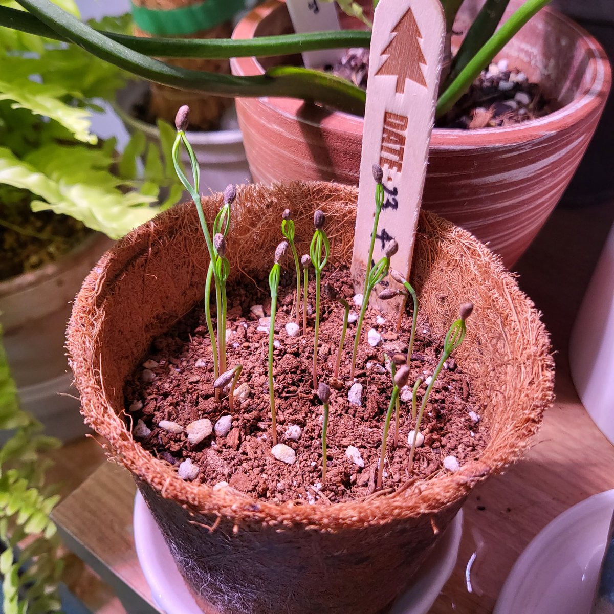 하날하눌 tweet media