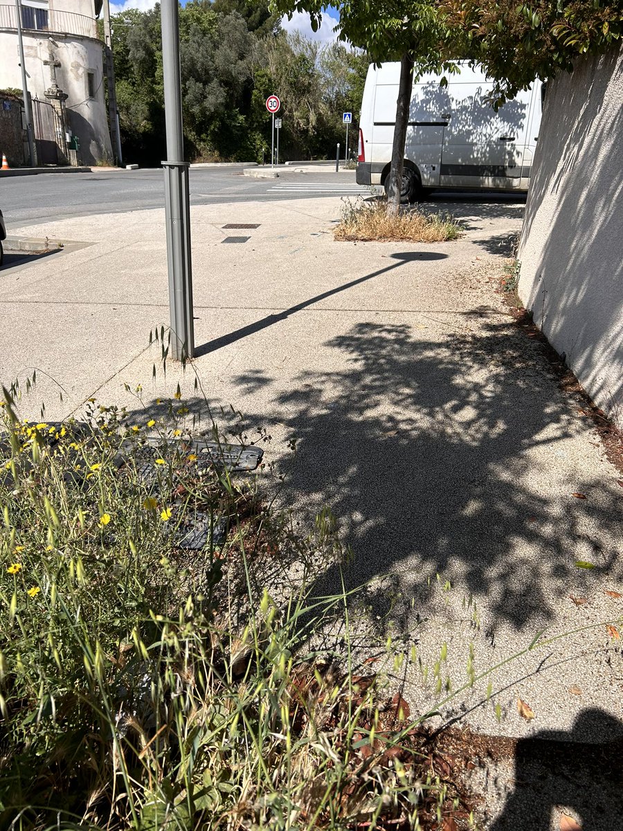 craps72's tweet photo. @montpellier_ @MDelafosse est ce que les habitants de Sabines - les grisettes ont le droit d’avoir des rues propres et entretenues. #Montpellier #grisettes #sabines . Trop de véhicules sur les trottoirs . https://t.co/p1D09kQ8dt