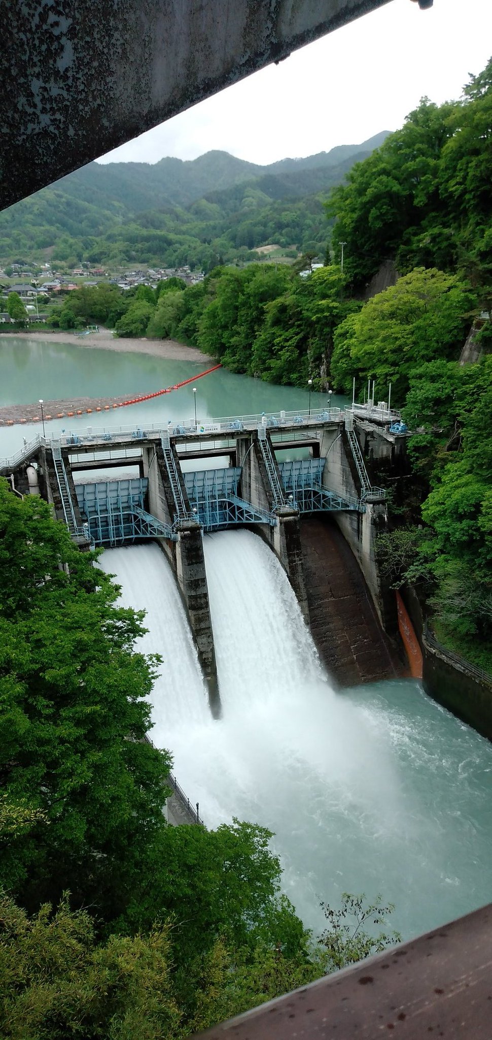 ここあ on Twitter 