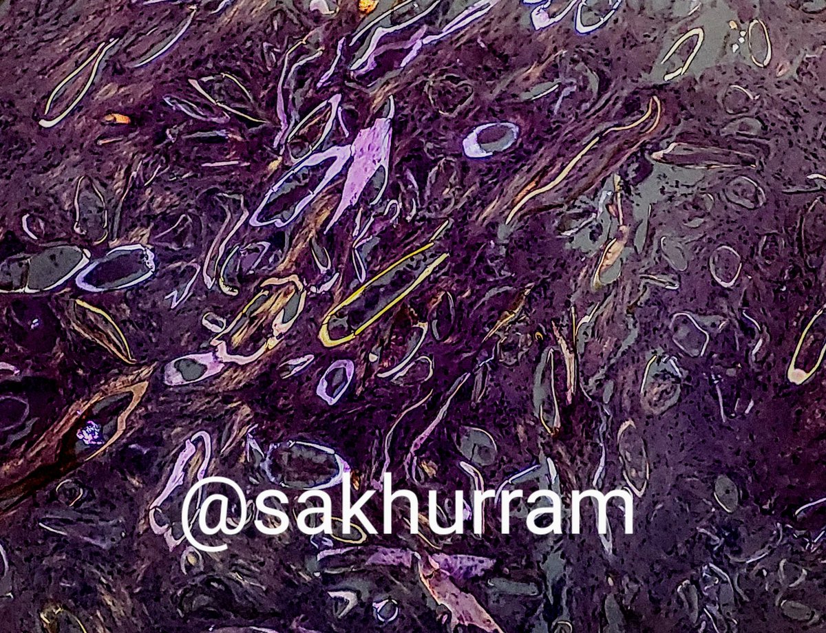 Ali Khurram tweet media