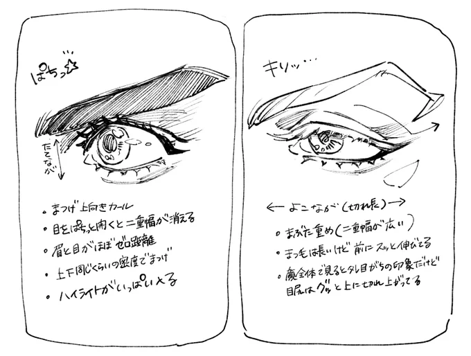 マイはもせ目 毎回これで描いてるわけじゃないけど脳内概念メモ✍️🤓