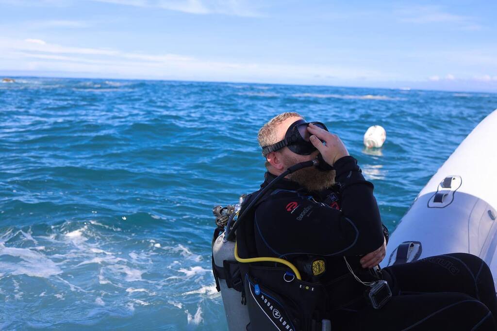 Dive o'clock PRO tweet media