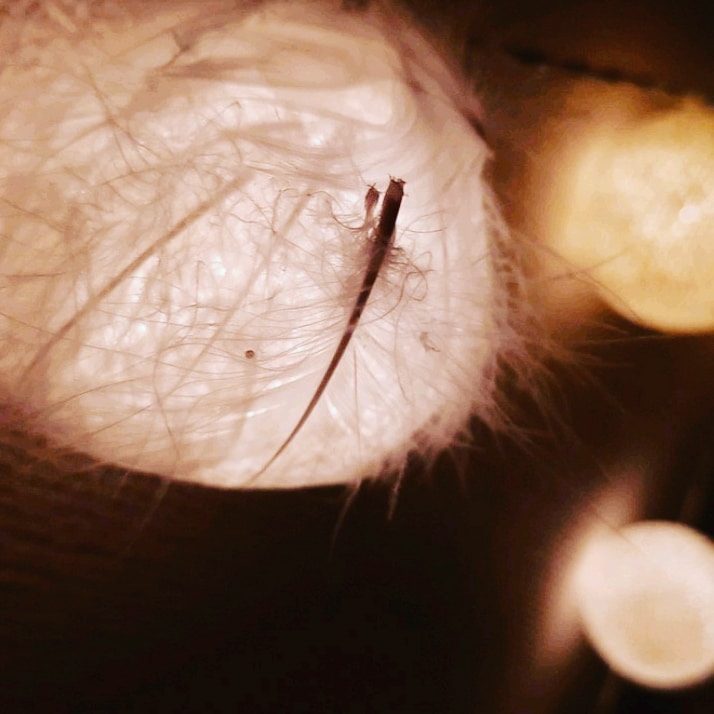 #お母さんありがとう ⁡⁡
⁡からの〜⁡ #お母さんにしてくれてありがとう⁡
 #ムスメ だけど #母 なので⁡。#ありがとう  #母の日  #プレゼント  #プレゼントにおすすめ  #ハンドメイド作品  #ハンドメイド雑貨  #ハンドメイド好きさんと繋がりたい  #インテリア雑貨  #インテリアライト