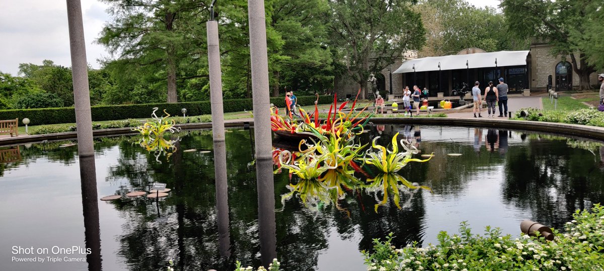 ShaneJones121's tweet image. This summer the Chihuly exhibits are at the @mobotgarden. These are amazing glass art exhibits by @ChihulyStudio located throughout the gardens.

Definitely worth visiting. 
#stlsummer #summeractivities