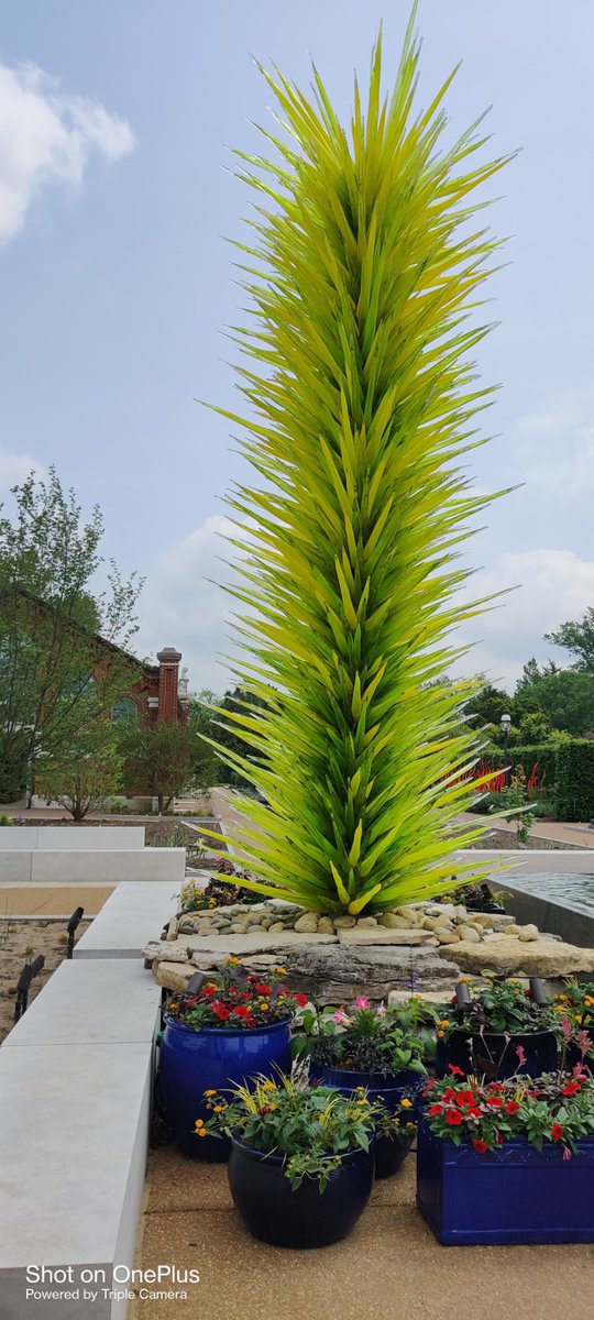 ShaneJones121's tweet image. This summer the Chihuly exhibits are at the @mobotgarden. These are amazing glass art exhibits by @ChihulyStudio located throughout the gardens.

Definitely worth visiting. 
#stlsummer #summeractivities