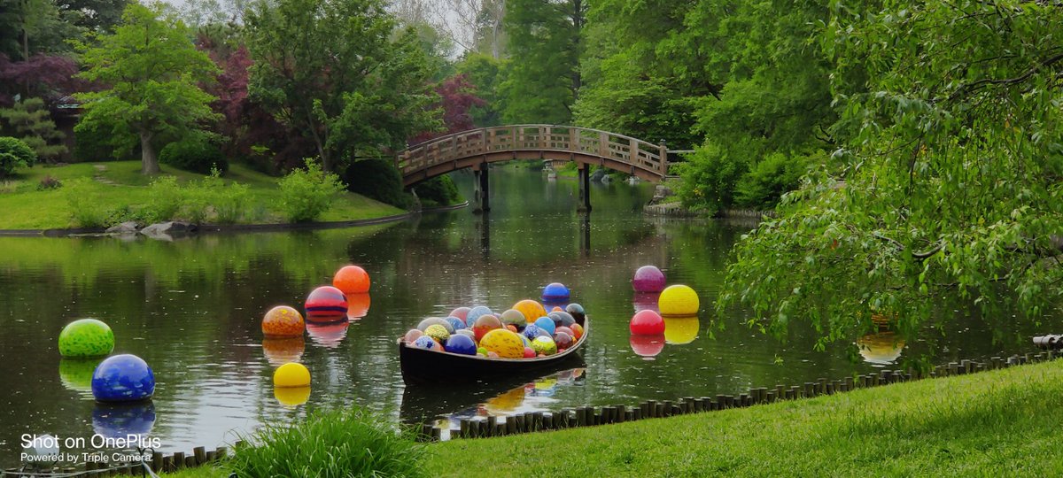 ShaneJones121's tweet image. This summer the Chihuly exhibits are at the @mobotgarden. These are amazing glass art exhibits by @ChihulyStudio located throughout the gardens.

Definitely worth visiting. 
#stlsummer #summeractivities