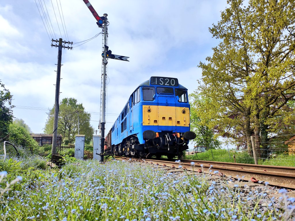 Bennybizzle1's tweet image. #SemaphoreSunday here at the @NLRailway we colour match our flowers and our locos. 31289 &quot;Phoenix&quot; about to depart Boughton station after dropping off the works train.