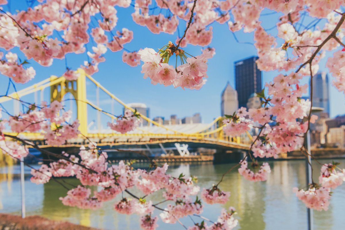 DaveDiCello's tweet photo. A very happy Mother's Day to all of the moms out there. Hope that you all are spoiled today for everything you do for us. Thought that I'd share a little collection of heart shaped spring colors around #Pittsburgh today...looks like it's going to be a beautiful day to celebrate. https://t.co/dnChe343ZS