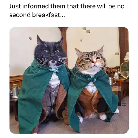 WholesomeMeme's tweet photo. https://t.co/eRlJ8aMFww