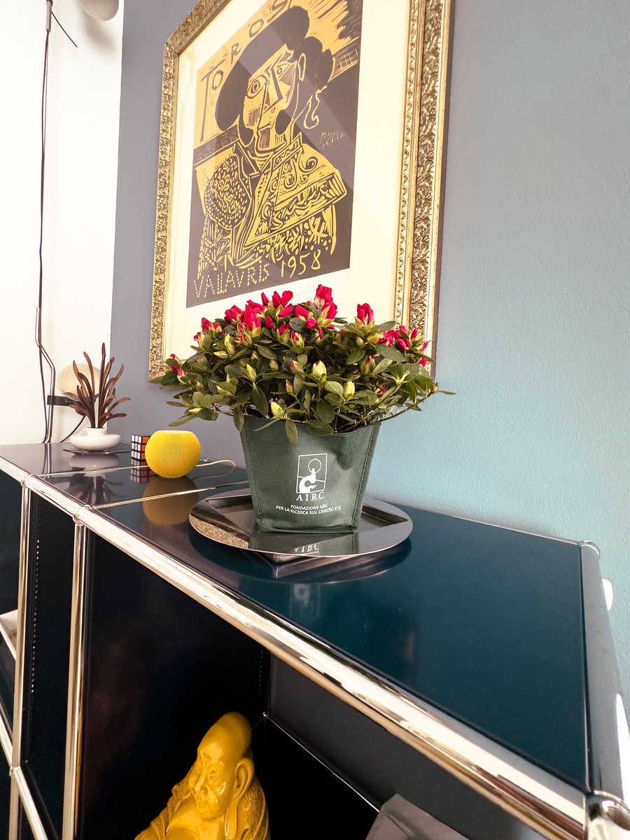 Enjoy Mother’s Day.
Aiutare la ricerca sul cancro accelera il progresso ed aumenta la speranza. #azaleadellaricerca <a href="/AIRC_it/">Fondazione AIRC per la ricerca sul cancro</a>