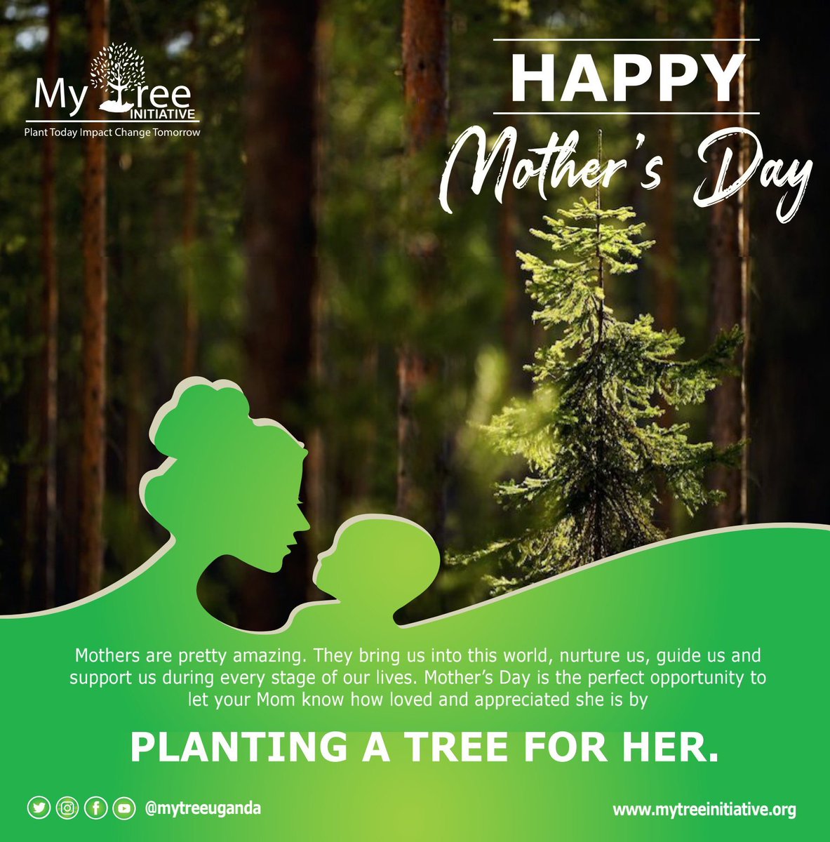 My Tree Initiative Organization tweet media