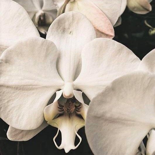 STAYIN ALIVE tweet media