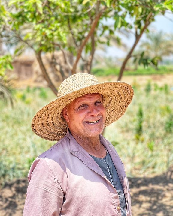 essam_alshaaer's tweet image. موسم حصاد البصل المصري في قرية أتميدة وهي وحدة من القرى التابعة لمركز #ميت_غمر في #محافظة_الدقهلية في #مصر.

#الريف_المصري #الزراعة_المصرية