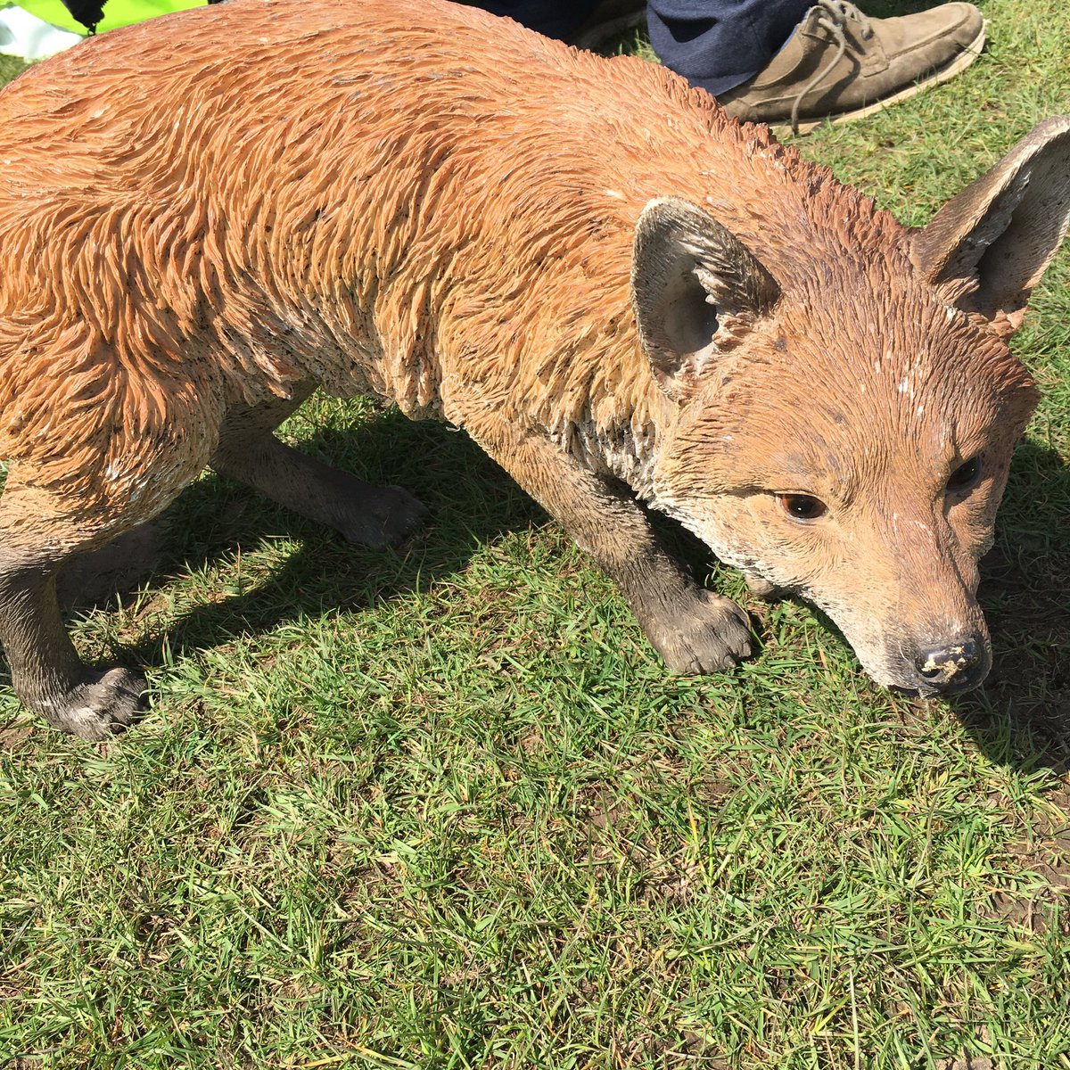 Helen Bird tweet media