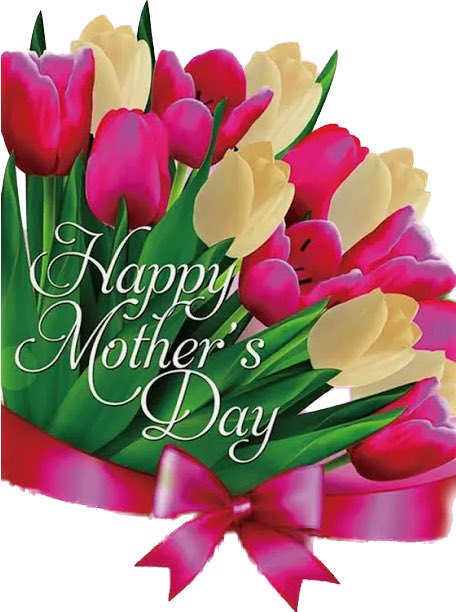 Murray Language Academy tweet media