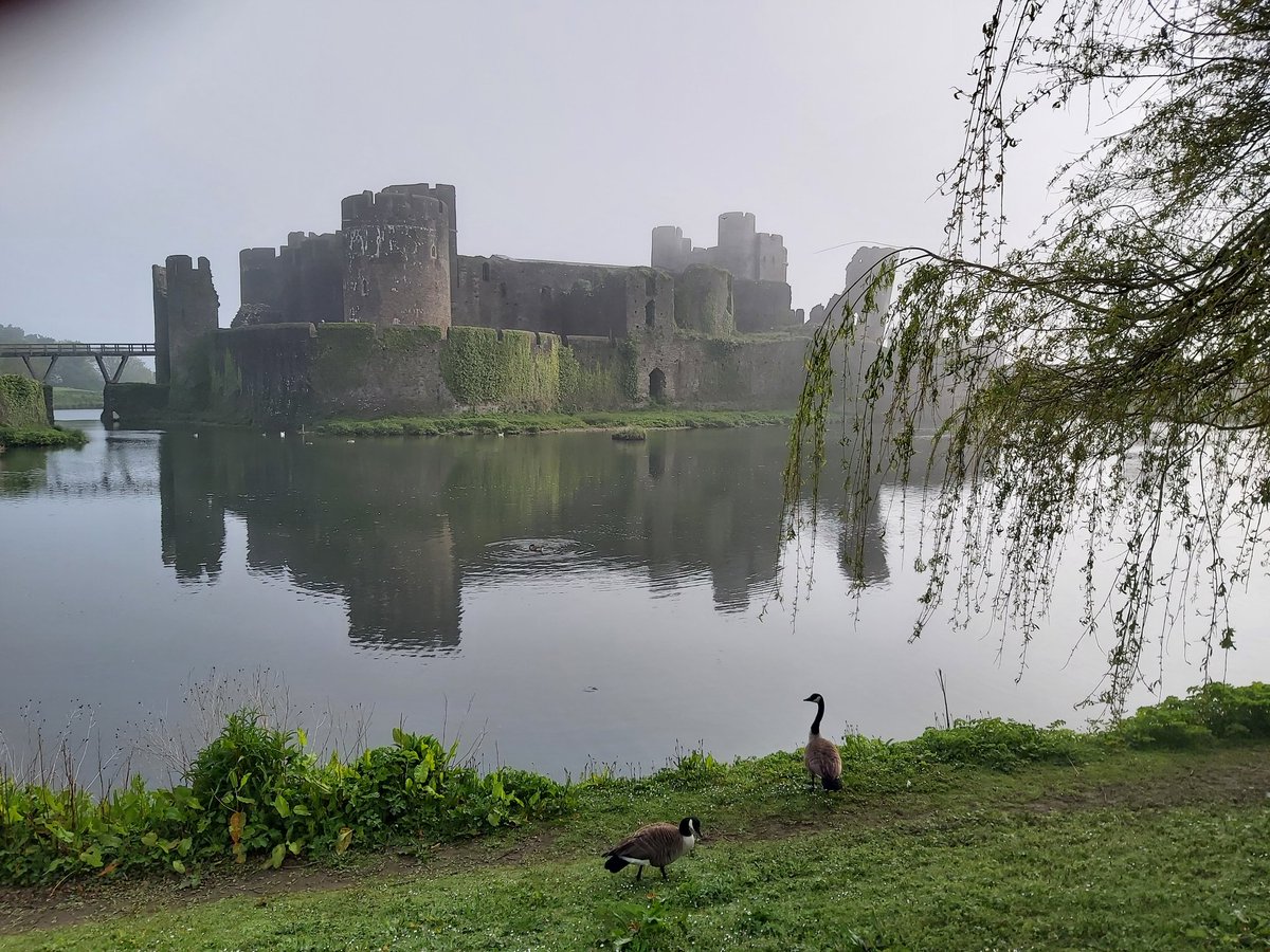 Ian Rhys tweet media