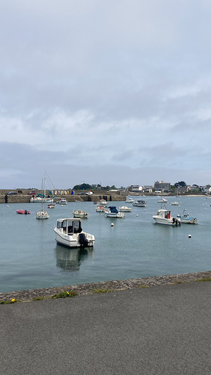 Arrived safely in Roscoff ready for the European Conference of Scientific Diving!!! Looking forward to seeing all the science done by diving! #scienceanddiving @petermalmond @NCLDoveMarine @newcastlemarine